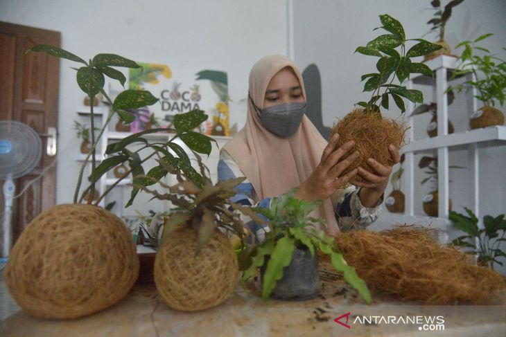 UMKM pot bunga dari sabut kelapa