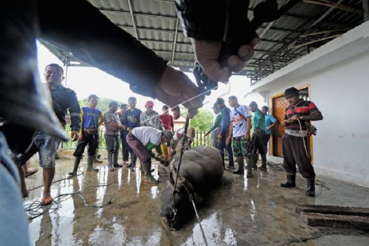 Bantai negeri jelang kenduri SKO