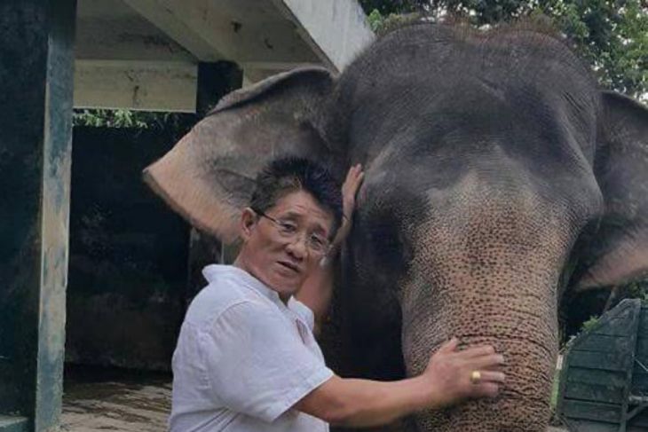Daftar panjang kematian Gajah Sumatera