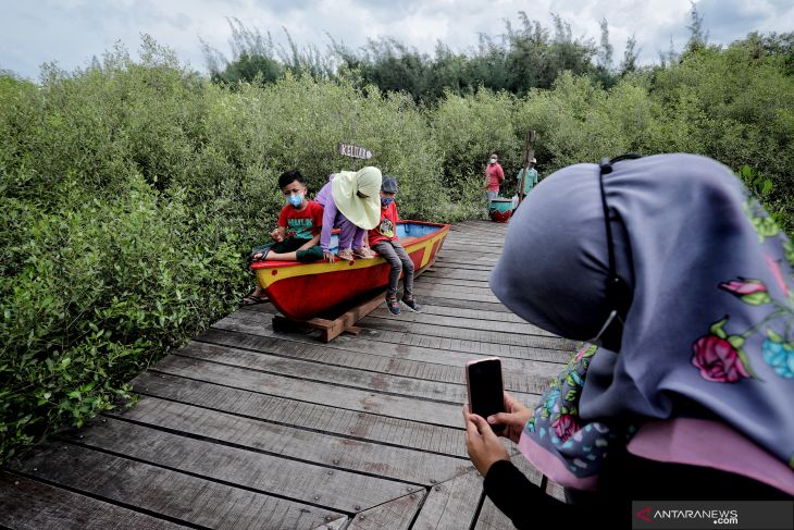 Wisata Mangrove Surabaya