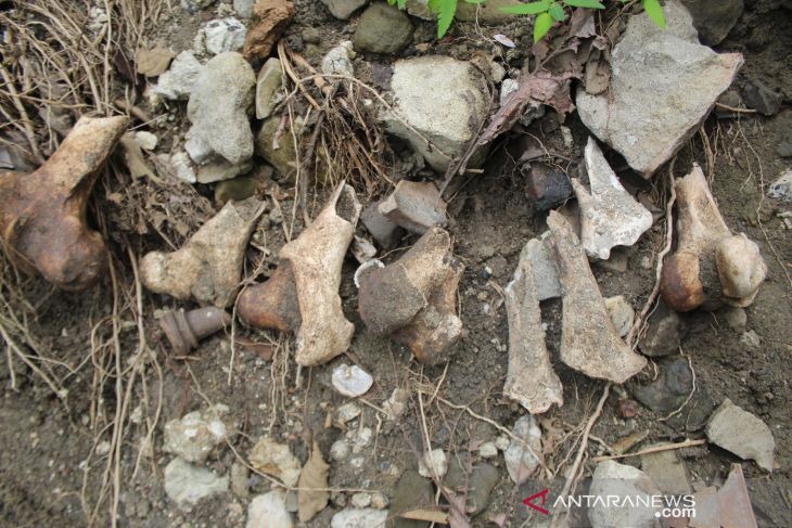 Temuan Tulang dan Gerabah di Jombang