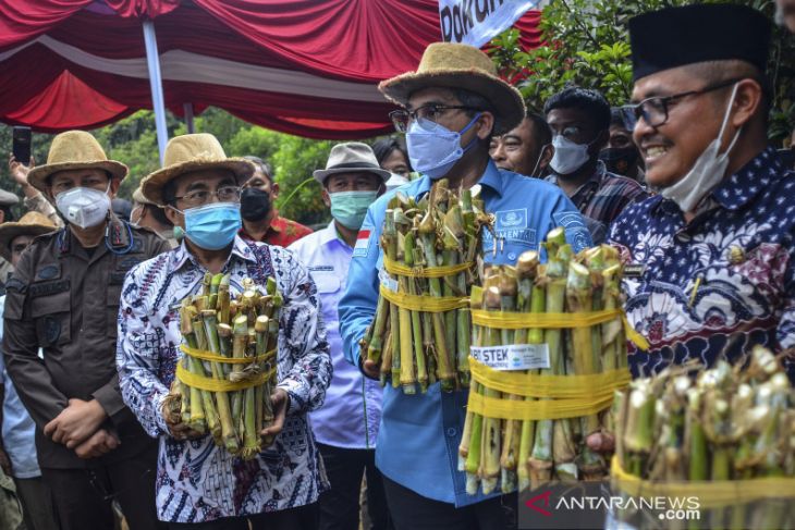 Kunjungan kerja Wamen Pertanian di Tasikmalaya