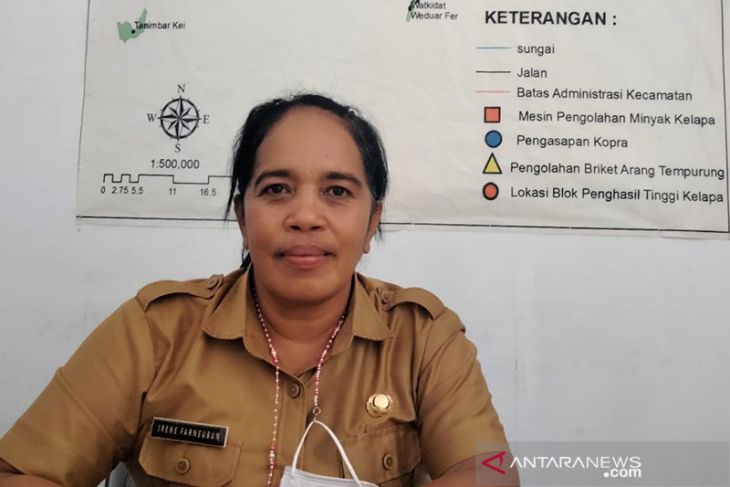 Maluku Tenggara fokus tingkatkan kualitas kopra petani progran strategis