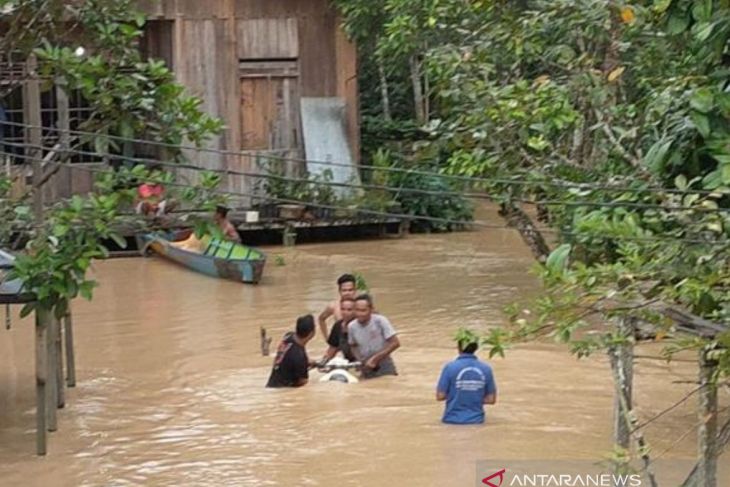 Hujan sebabkan banjir di Kelurahan Pemaluan Kabupaten Penajam