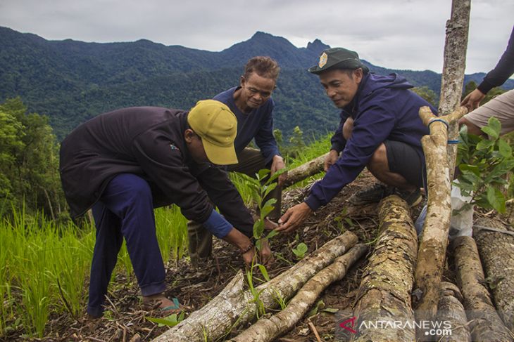 Gerakan 1000 MDPL Menanam