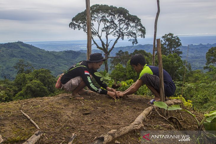 Gerakan 1000 MDPL Menanam