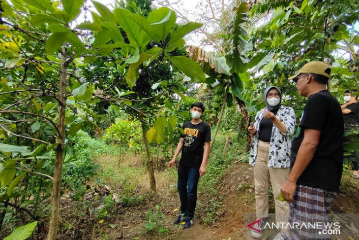 Kebun Kopi Edukasi di Kalimantan Selatan