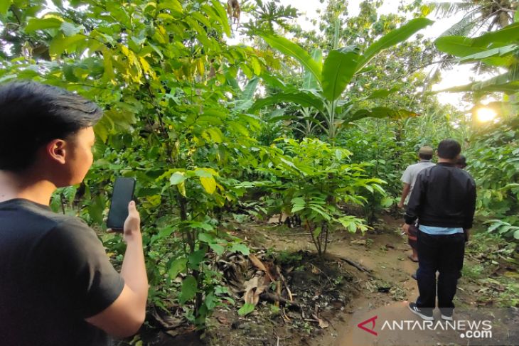 Kebun Kopi Edukasi di Kalimantan Selatan