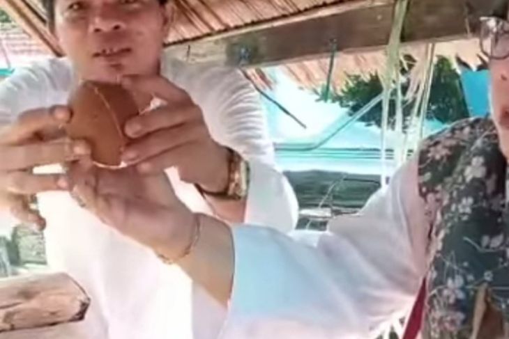 Masyarakat diminta kembangkan aren karena bernilai ekonomis