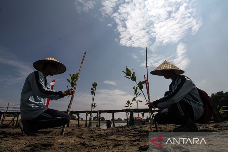 Pelajar tanam mangrove