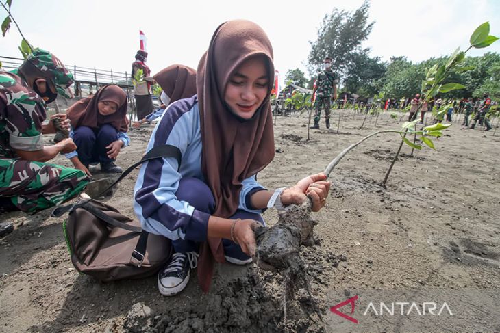 Pelajar tanam mangrove