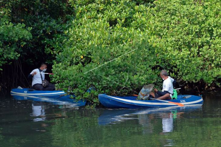 Aksi bersih sampah mangrove Bali