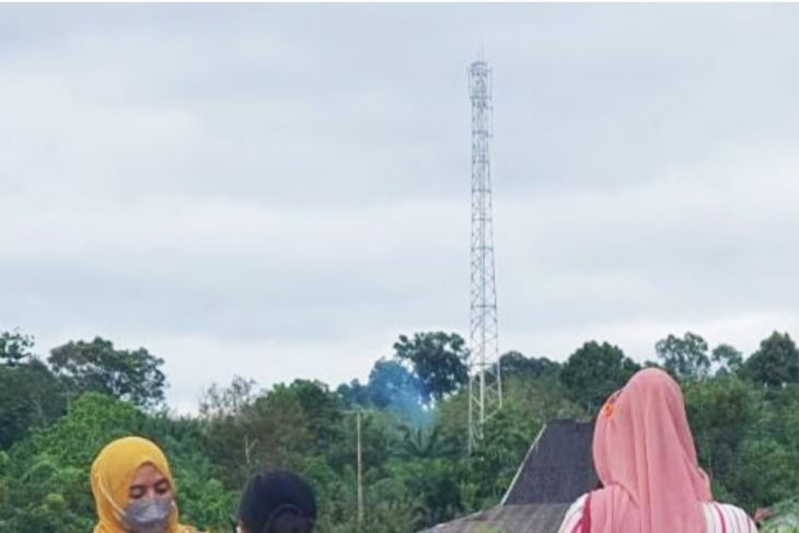 Jaringan selular di Sungai Ayak