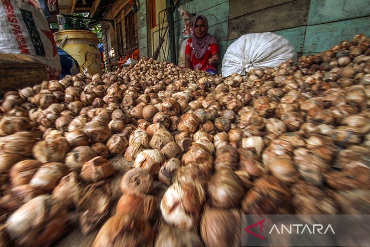 Harga pinang petani turun