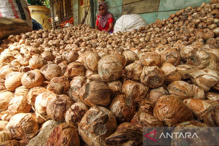 Harga pinang petani turun