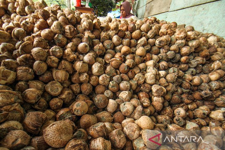 Harga pinang petani turun