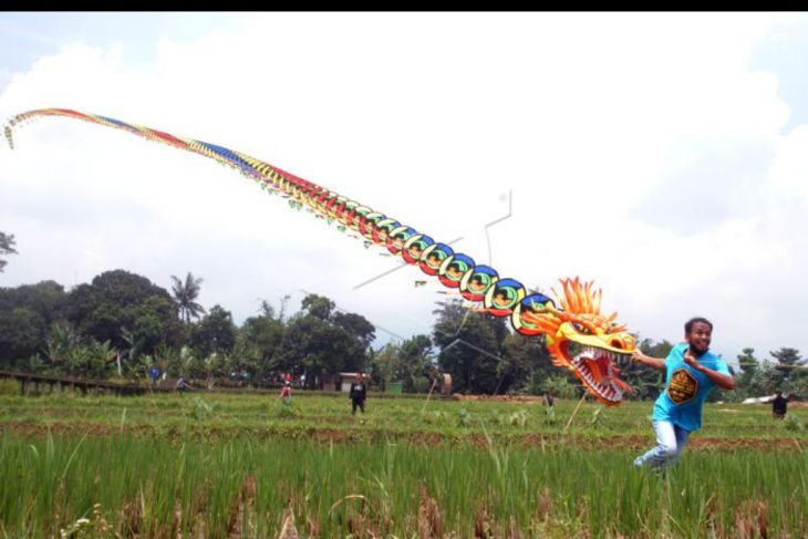Festival layang-layang usai panen di Bogor