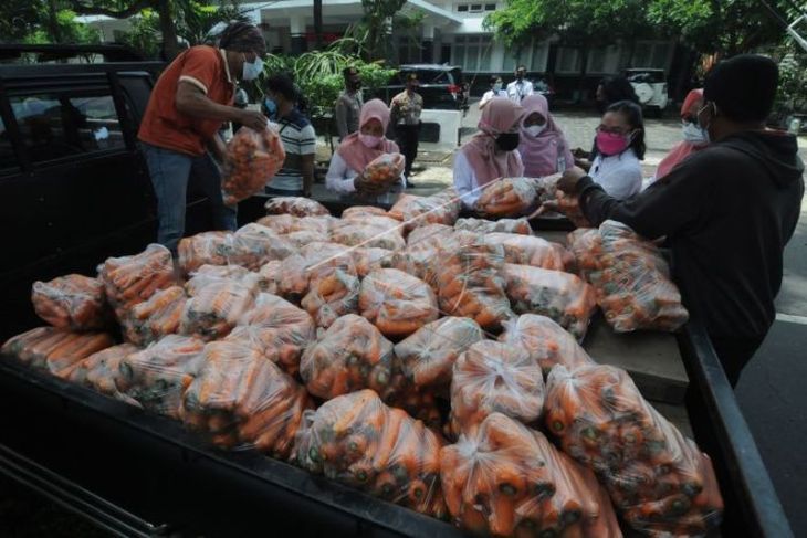 Aksi petani jual wortel hasil panen