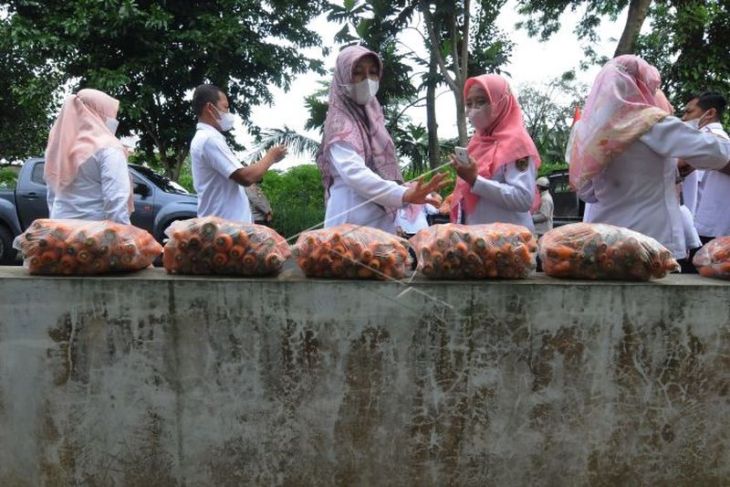 Aksi petani jual wortel hasil panen