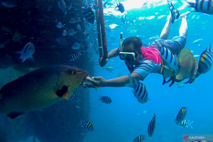 Konservasi Terumbu Karang Pantai Bangsring