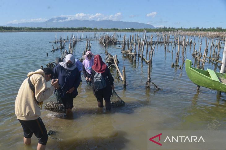 Restorasi waduk tempat budi daya tiram