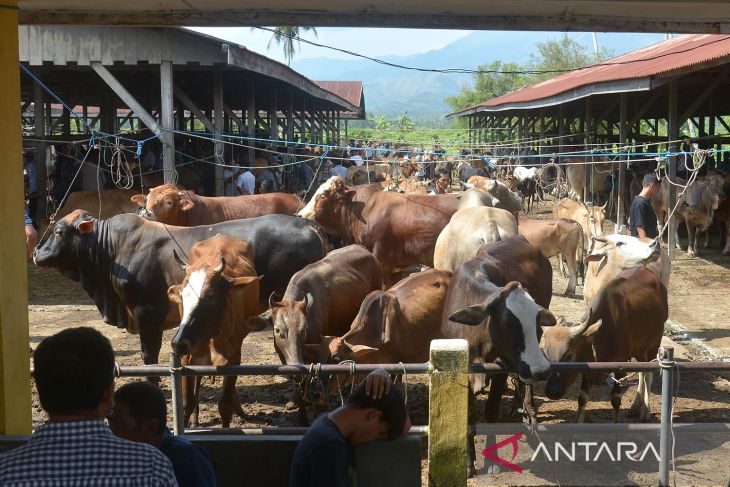 Transaksi ternak di pasar hewan jelang tradisi meugang