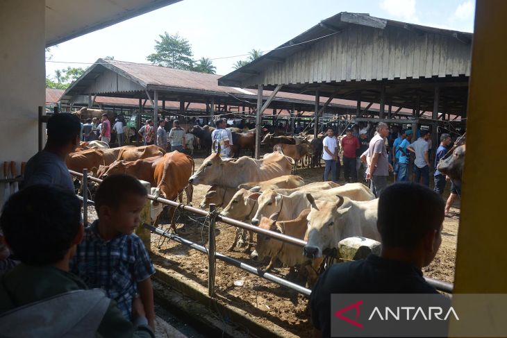 Transaksi ternak di pasar hewan jelang tradisi meugang