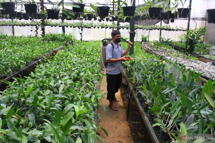 Santri Budi Daya Anggrek