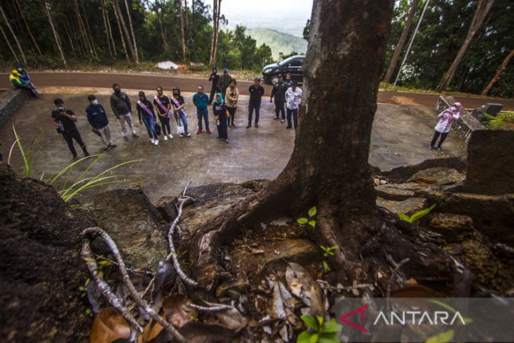 Tim Bappenas saksikan batu serpentinite di Tahura Sultan Adam