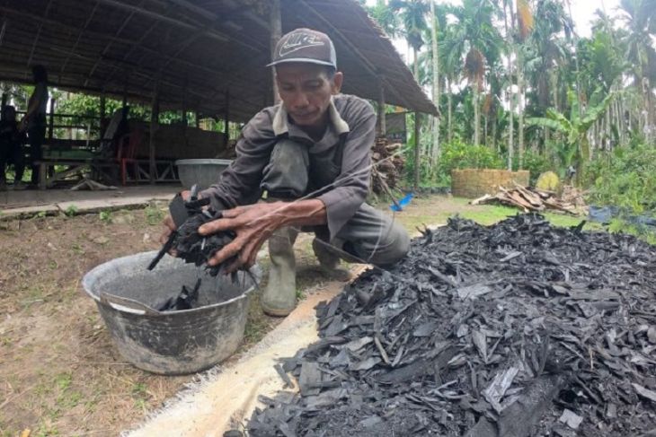 Produksi briket pelepah pinang