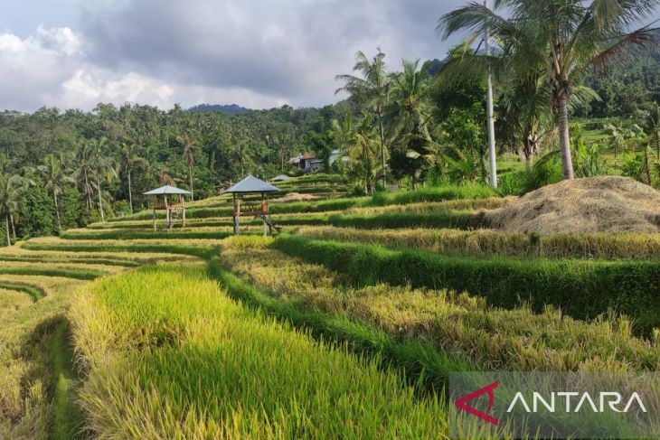 Preparing three tourist villages in Buleleng, Bali, for G20 delegates