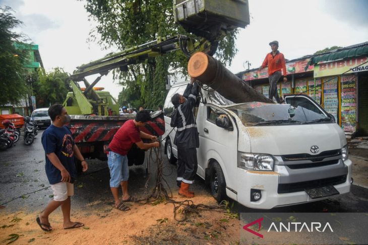 Petugas evakuasi mobil tertimpa pohon tumbang di Medan