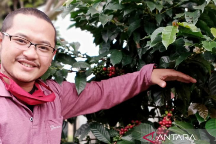 Fikri Raihan, petani milenial pasarkan kopi ke pasar dunia mencapai 100 ton/tahun