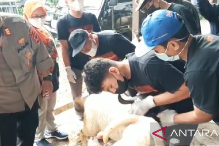 Polres Sukabumi Kota pantau peredaran hewan ternak cegah penyakit mulut dan kuku