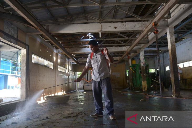 Penyemprotan disinfektan rumah potong hewan cegah PMK