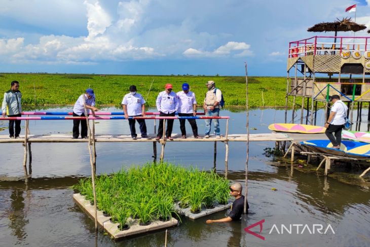 Pemkab HSS dorong petani kembangkan padi terapung swadaya – ANTARA News Kalsel – ANTARA Kalsel