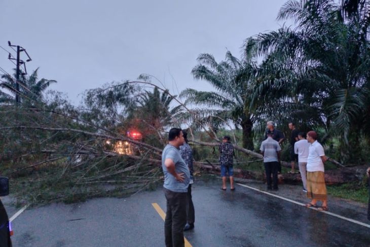 Ini Imbauan BPBK Aceh Jaya Di Tengah Cuaca Ekstrem - ANTARA News Aceh