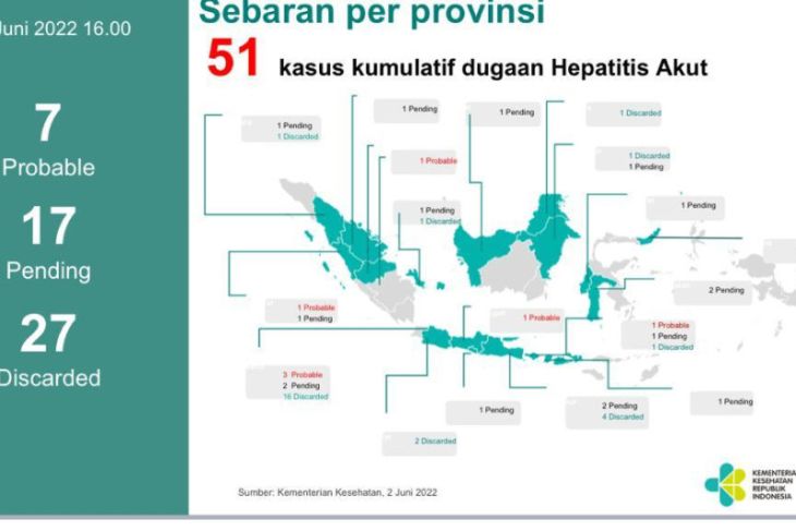 Kemenkes: Dugaan Hepatitis Akut Di Indonesia Berjumlah 24 Pasien ...