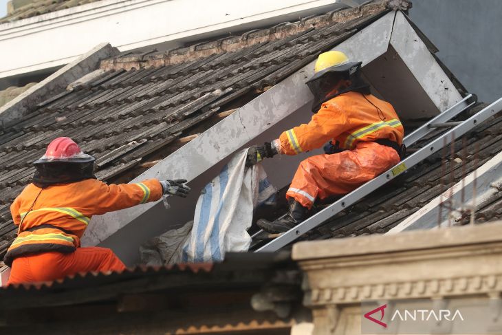 Evakuasi Sarang Tawon Vespa di Rumah Warga