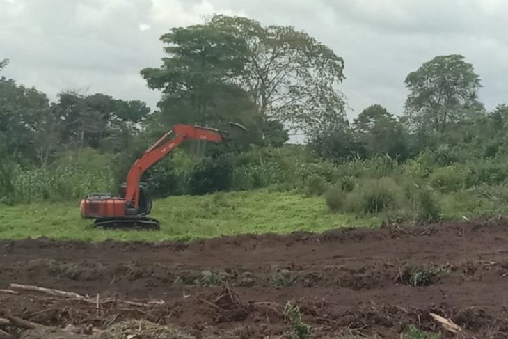 Masyarakat Simalungun tolak tanaman teh diganti sawit