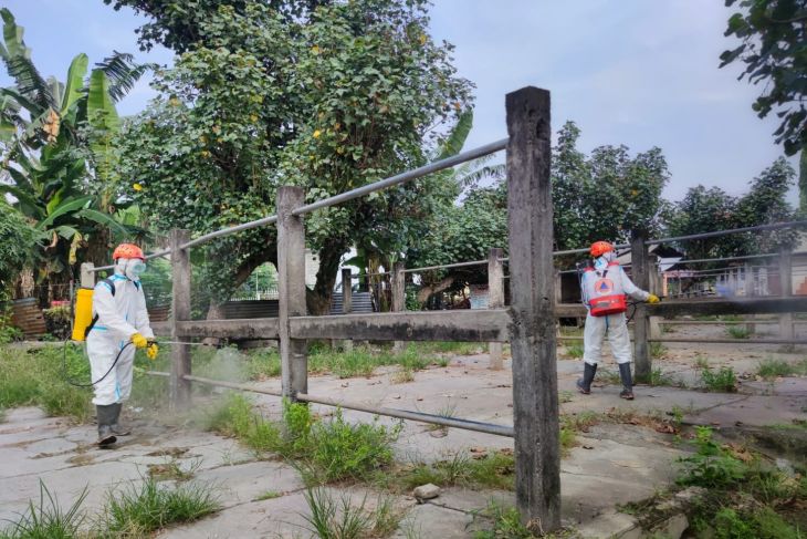 Penyemprotan disinfektan di pasar hewan