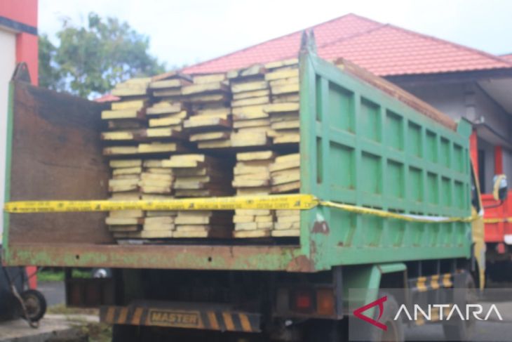 Polisi tangkap tiga penyelundup kayu ilegal di Tanimbar Maluku