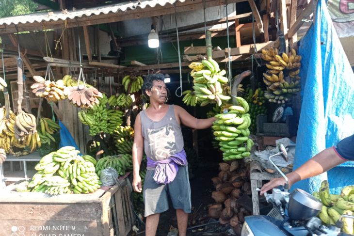 Omzet pedagang pisang di Lebak kembali normal
