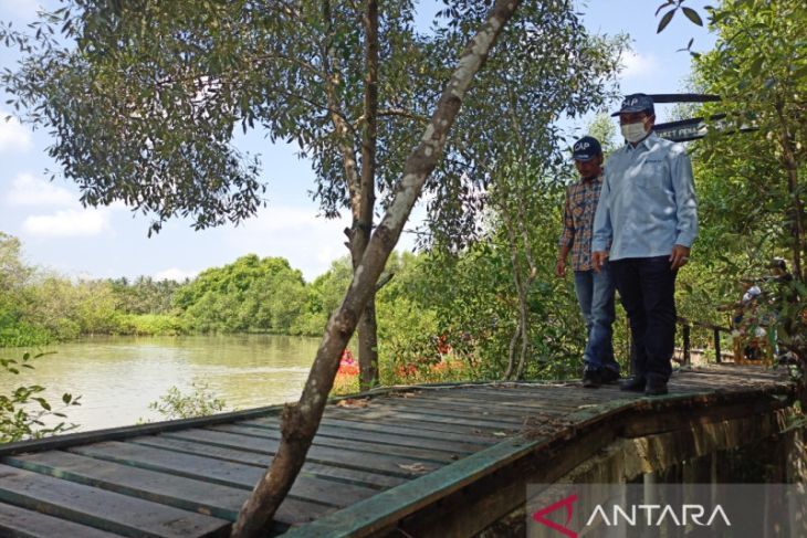 Manfaatkan limbah kayu, Chandra Asri bangun trek dukung pengembangan Kawasan Edu-Ekowisata Lembur Mangrove Patikang