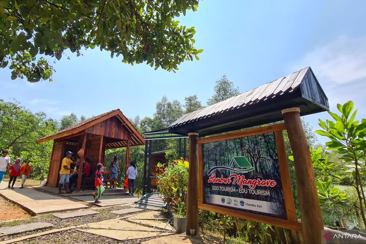 CHANDRA ASRI HADIRKAN EDU - EKOWISATA MANGROVE