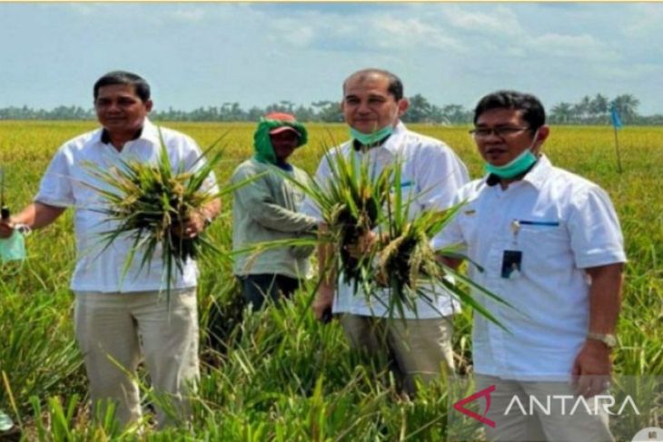 BULOG pastikan stok beras cadangan pemerintah  di Sumut mencukupi