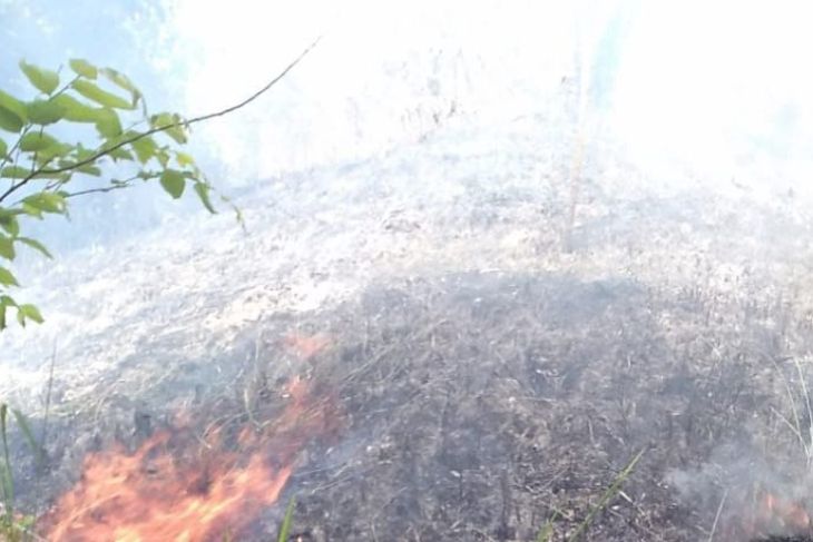 Lima hektare lahan terbakar di tengah musim kemarau Aceh