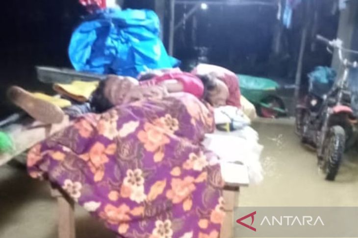 Banjir merendam ratusan rumah di Seluma