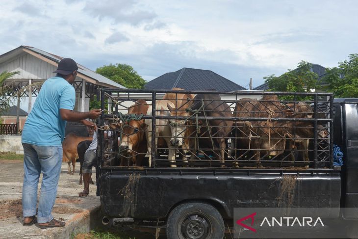 Pasar hewan kembali dibuka di Aceh Besar