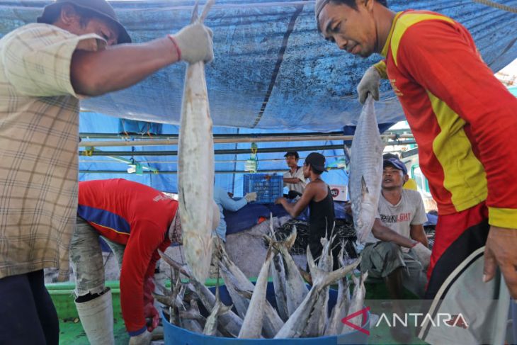 Target angka konsumsi ikan 